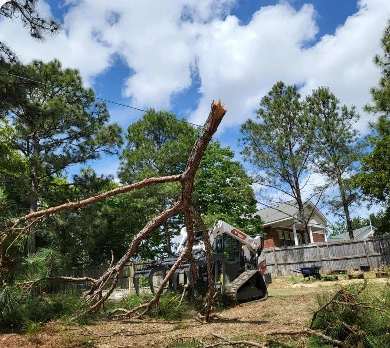 Local landscape installation near you across Hope Mills, NC - Carolina Tree Experts