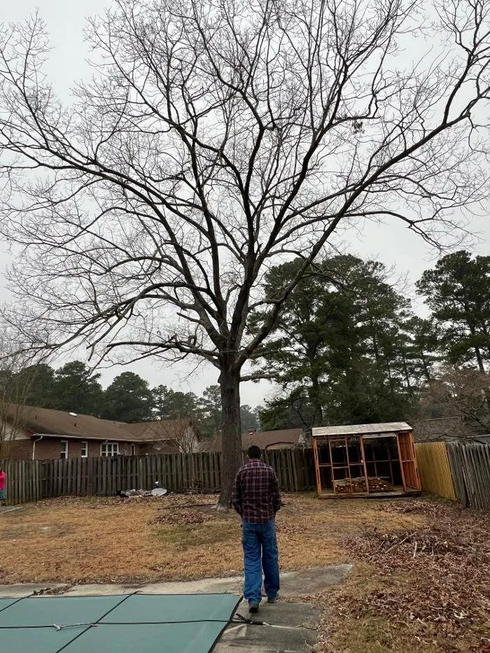 Expert garden landscaping experts serving Hope Mills, NC - Carolina Tree Experts