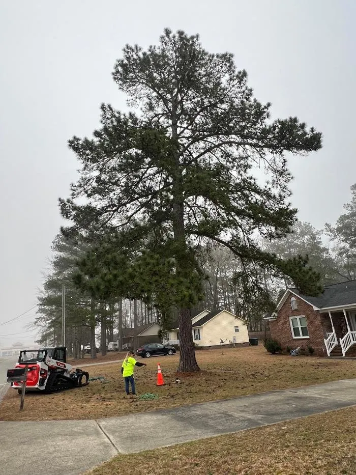 Reliable landscaping services for homes in Hope Mills, NC by Carolina Tree Experts