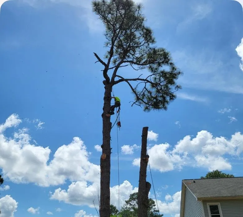 Trusted lawn mowing service in Hope Mills, NC - Carolina Tree Experts