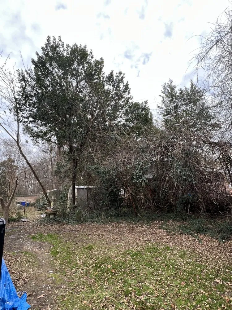 Expert garden landscaping experts serving Hope Mills, NC - Carolina Tree Experts