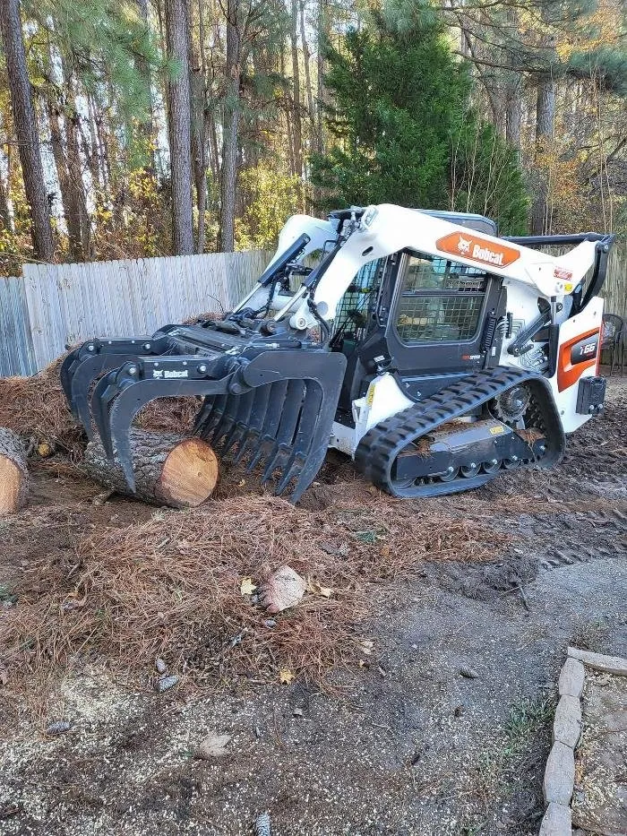 Local landscaping services experts serving Hope Mills, NC - Carolina Tree Experts