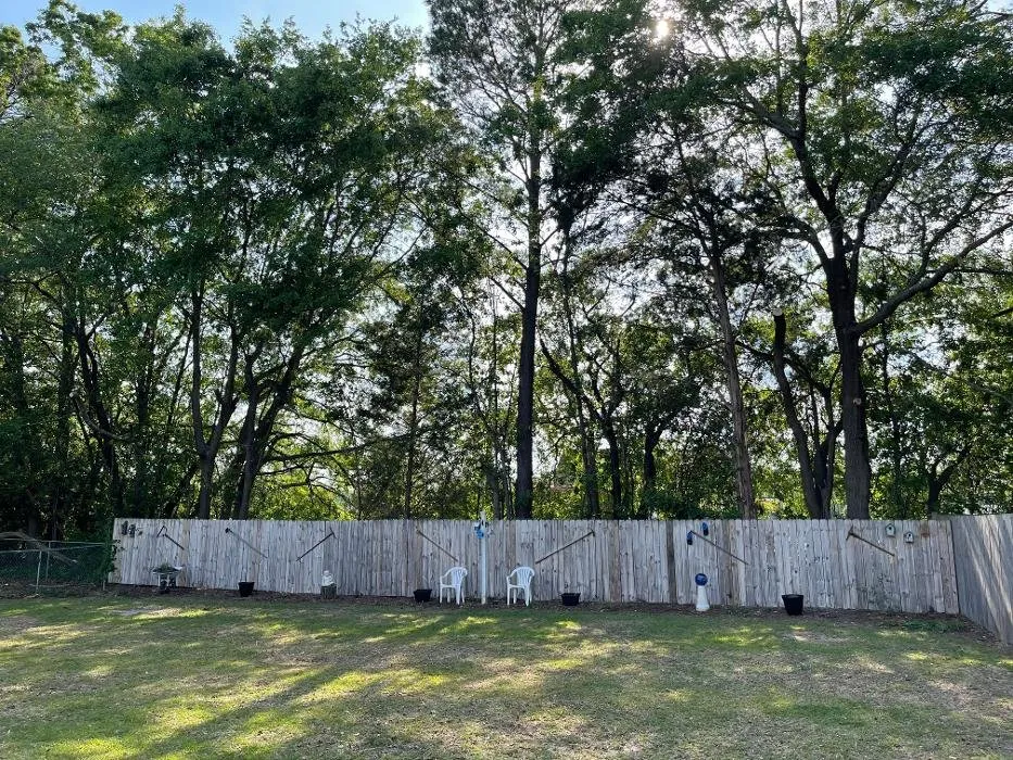 Reliable lawn care service for beautiful yards across Hope Mills, NC - Carolina Tree Experts