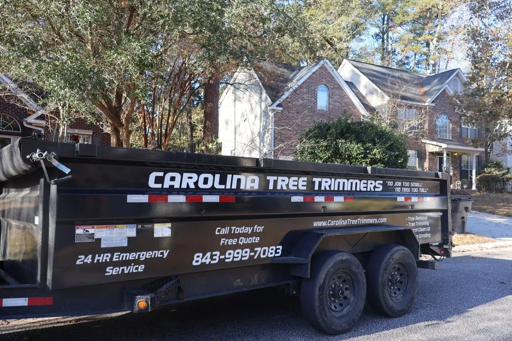 Professional residential landscaping for outdoor upgrades in Summerville, SC by Carolina Tree Trimmers