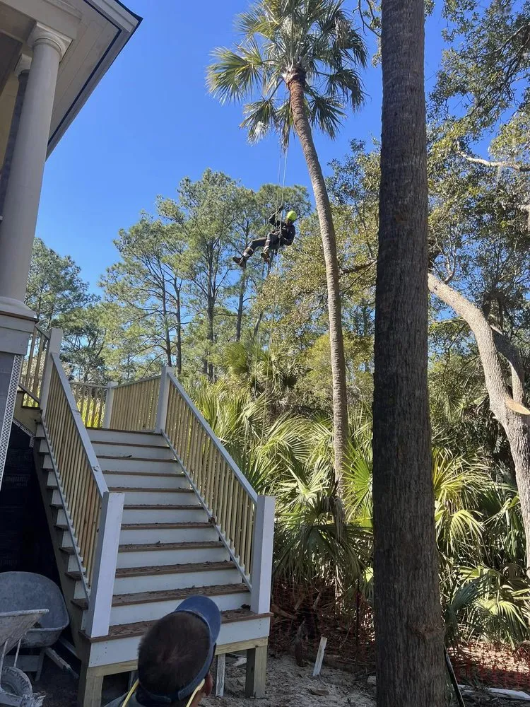 Reliable yard cleanup service for outdoor upgrades in Summerville, SC by Carolina Tree Trimmers
