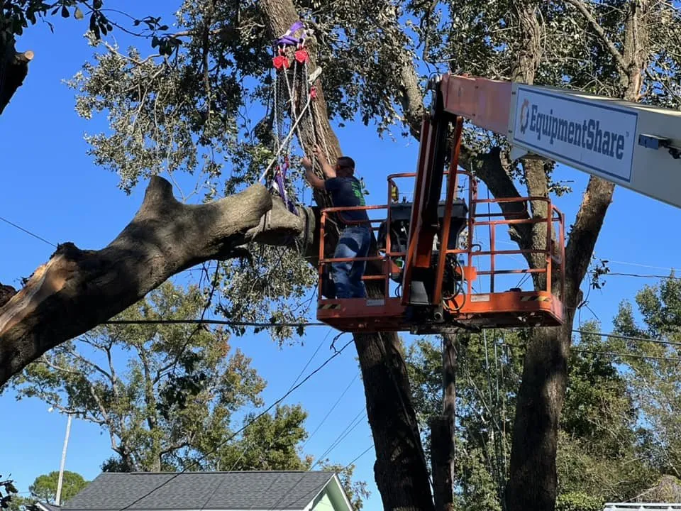 Reliable lawn mowing service experts serving Summerville, SC - Carolina Tree Trimmers