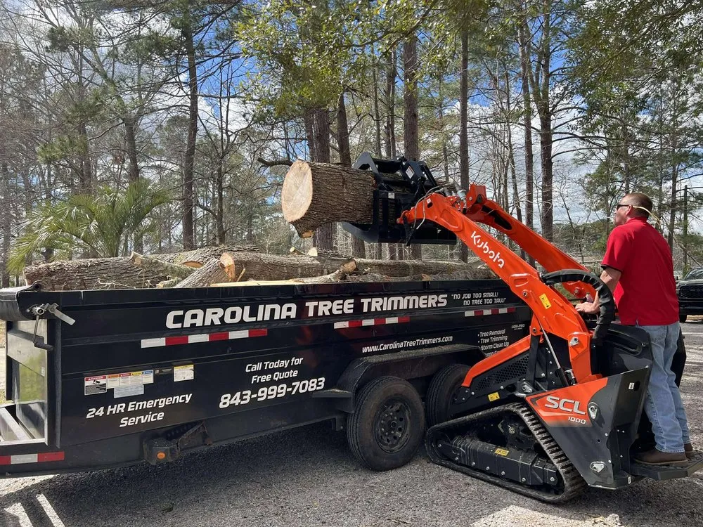 Trusted lawn mowing service for year-round maintenance in Summerville, SC by Carolina Tree Trimmers
