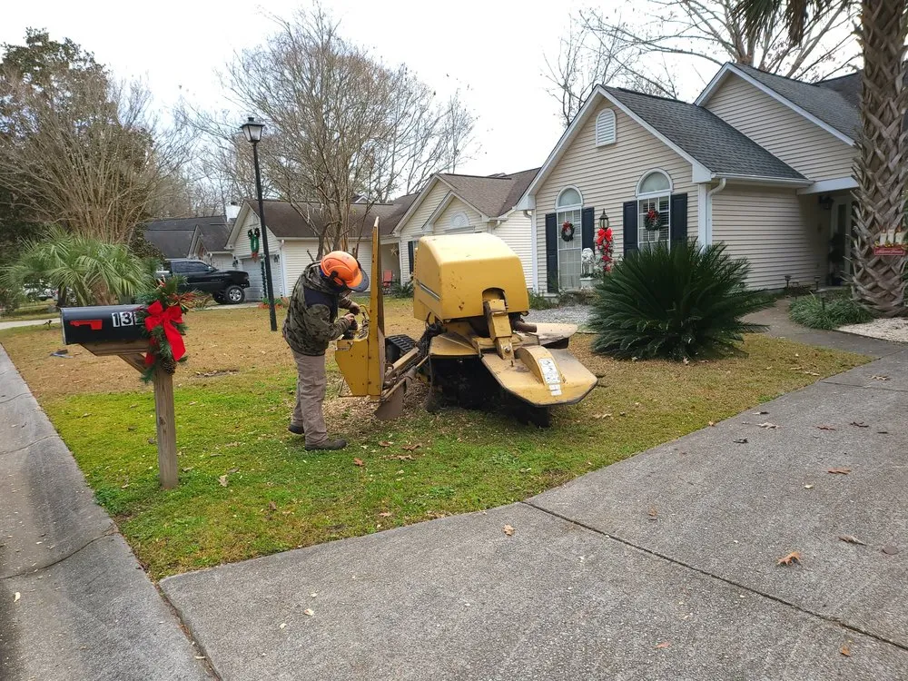 Top-rated yard cleanup service for year-round maintenance across Summerville, SC - Carolina Tree Trimmers