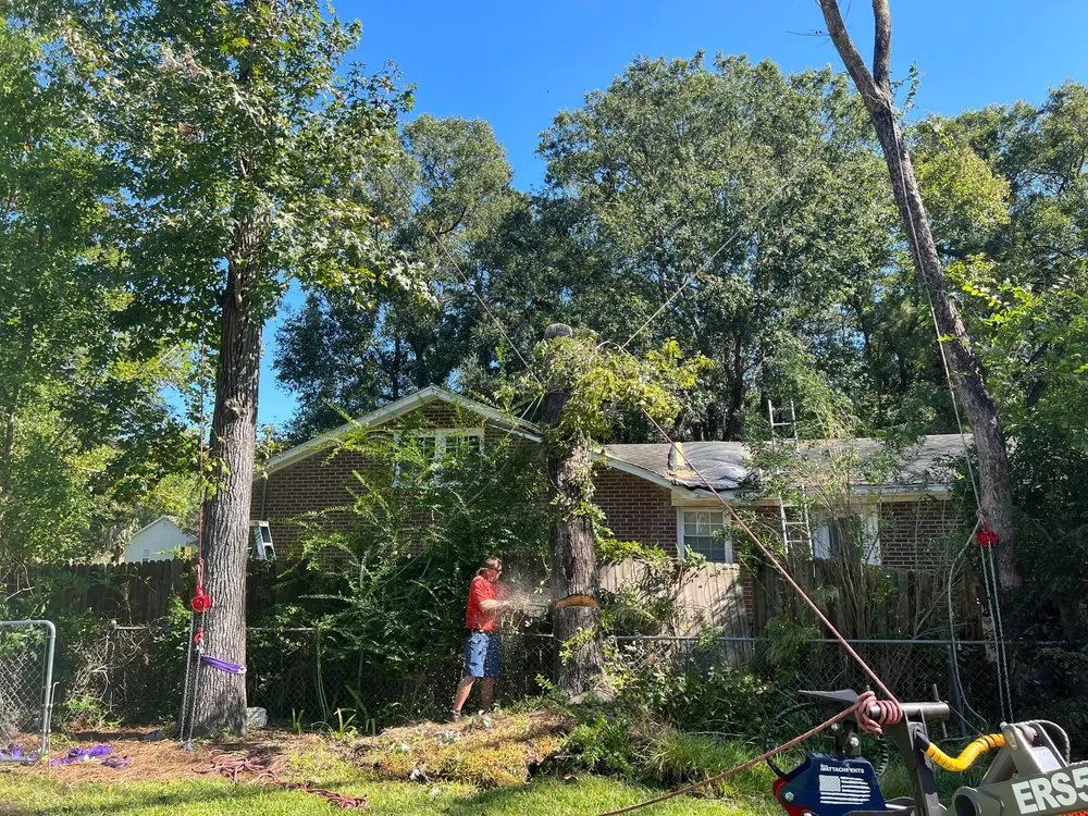 Expert yard cleanup service in Summerville, SC - Carolina Tree Trimmers
