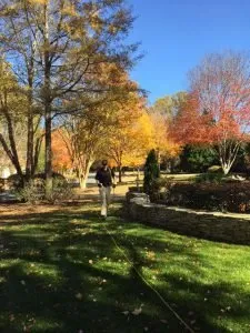 Professional residential landscaping for residential properties across Charlotte, NC - Carolina Turf and Mosquito