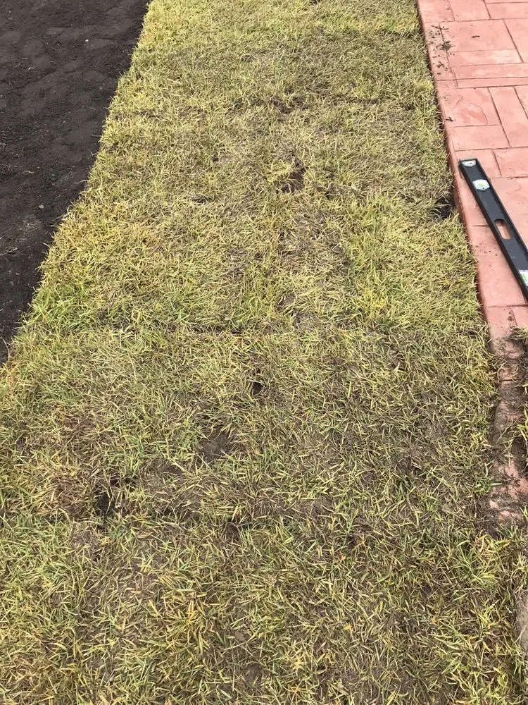 Trusted landscaping services for outdoor upgrades in Raeford, NC by Carolina Turf Farms Inc