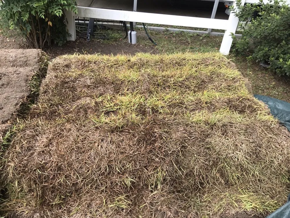 Affordable residential landscaping for outdoor upgrades across Raeford, NC - Carolina Turf Farms Inc