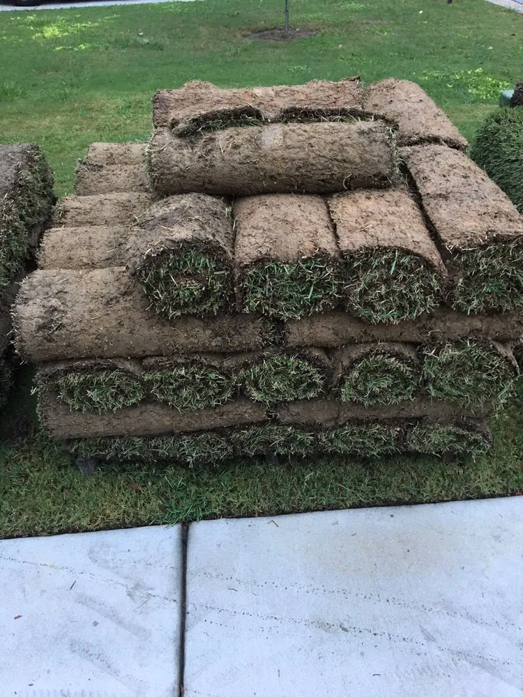 Local lawn mowing service in Raeford, NC - Carolina Turf Farms Inc