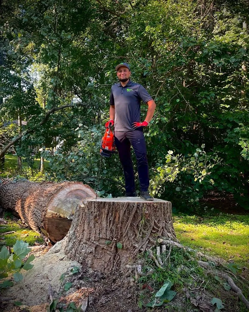 Top-rated lawn mowing service in Midland, NC - Carolina Turf Lawn and Landscape