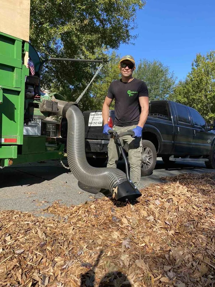 Expert outdoor landscaping for year-round maintenance across Midland, NC - Carolina Turf Lawn and Landscape