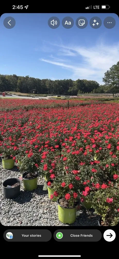 Affordable residential landscaping in Midland, NC by Carolina Turf Lawn and Landscape