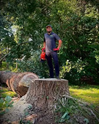 Carolina Turf Lawn and Landscape