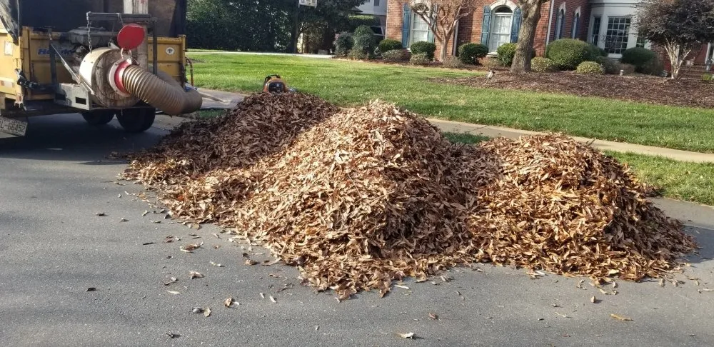 Custom outdoor landscaping in Indian Trail, NC - Carolina's Landscaping