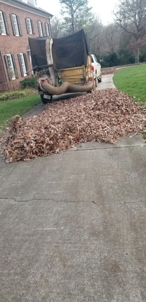 Reliable landscape installation in Indian Trail, NC - Carolina's Landscaping