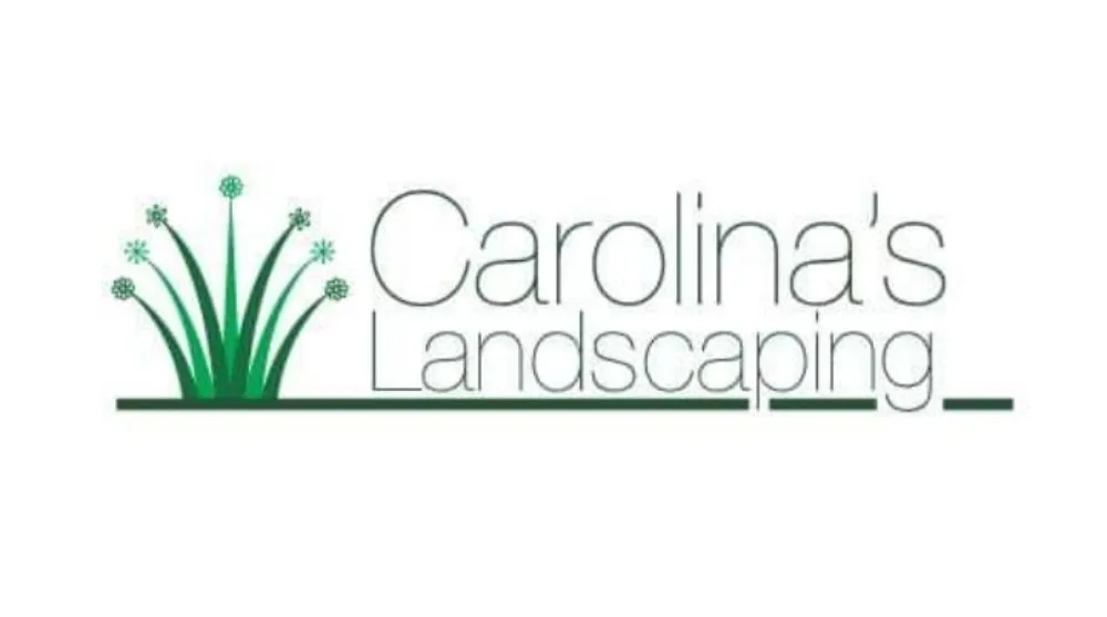 Expert yard cleanup service experts serving Indian Trail, NC - Carolina's Landscaping