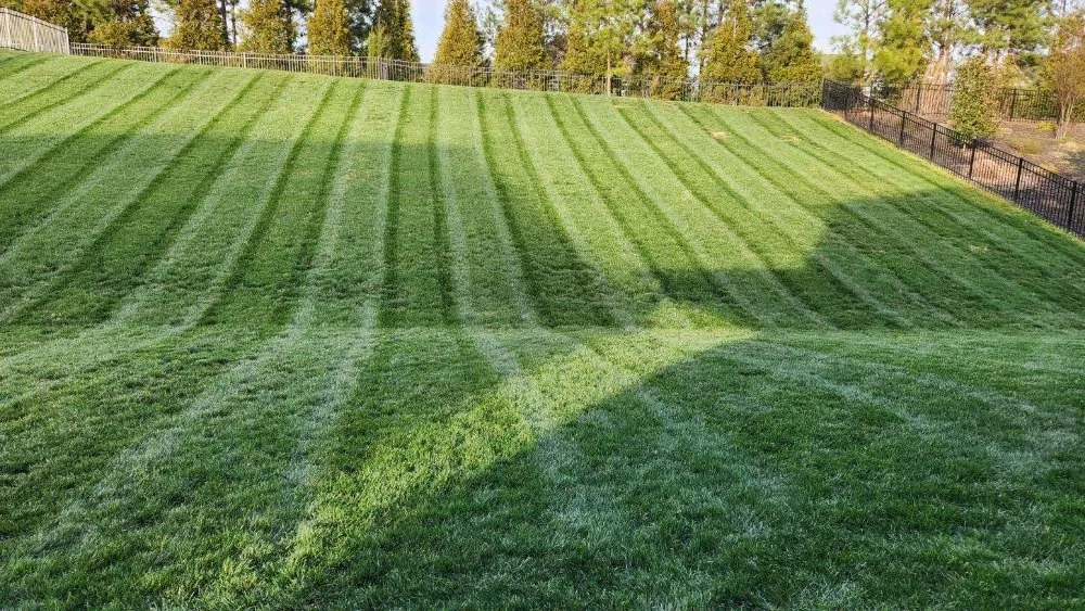 Expert lawn mowing service experts serving Indian Trail, NC - Carolina's Landscaping