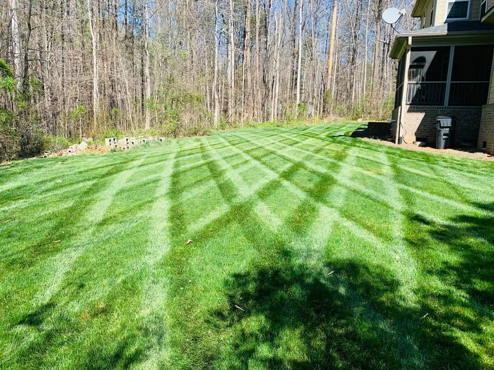 Expert landscape design for beautiful yards in Charlotte, NC by Carolinas S&A Landscaping