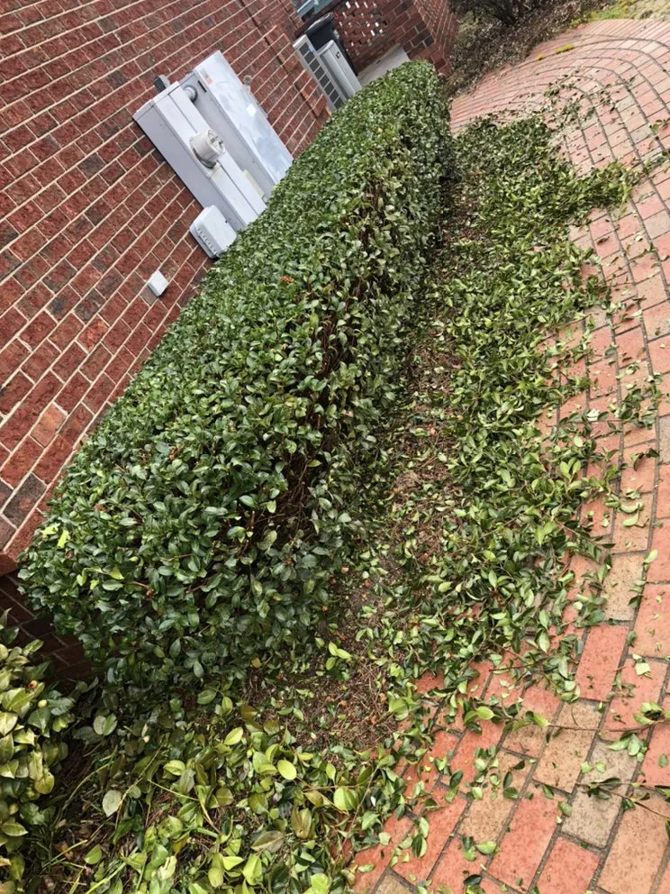 Trusted landscaping services for residential properties across Goldsboro, NC - Caroline Landscaping