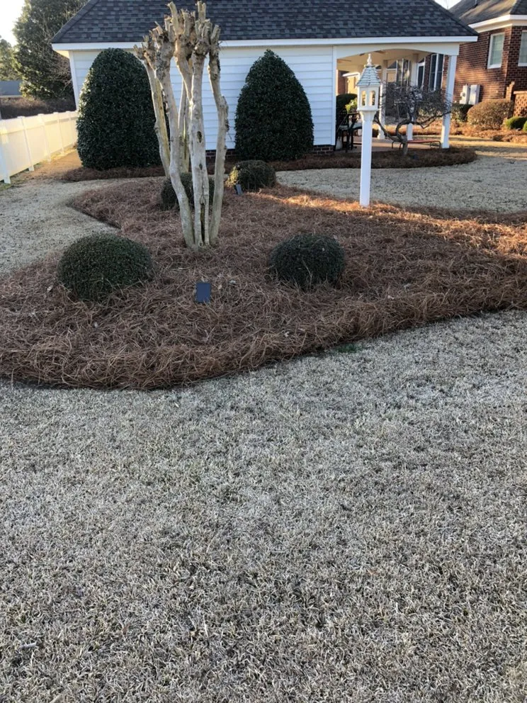 Professional landscape installation in Goldsboro, NC - Caroline Landscaping