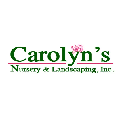 Custom lawn mowing service experts serving Hilton Head Island, SC - Carolyn's Landscaping