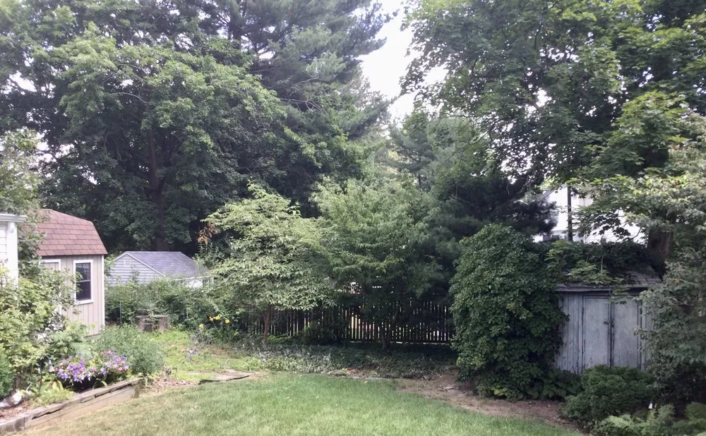 Trusted landscape installation in Manchester, CT - Carone and Sons Landscaping