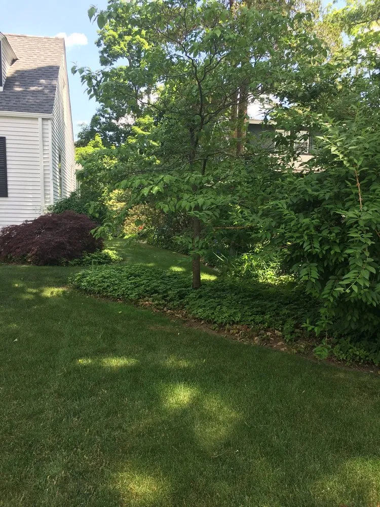 Expert yard cleanup service with custom design across Manchester, CT - Carone and Sons Landscaping