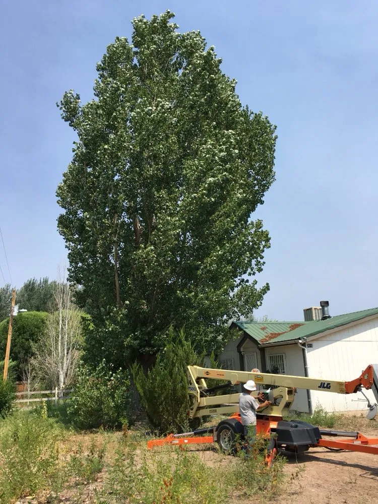 Trusted landscape installation for year-round maintenance across Espanola, NM - Caros General Works