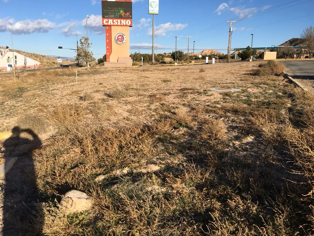 Custom lawn mowing service for beautiful yards in Espanola, NM by Caros General Works