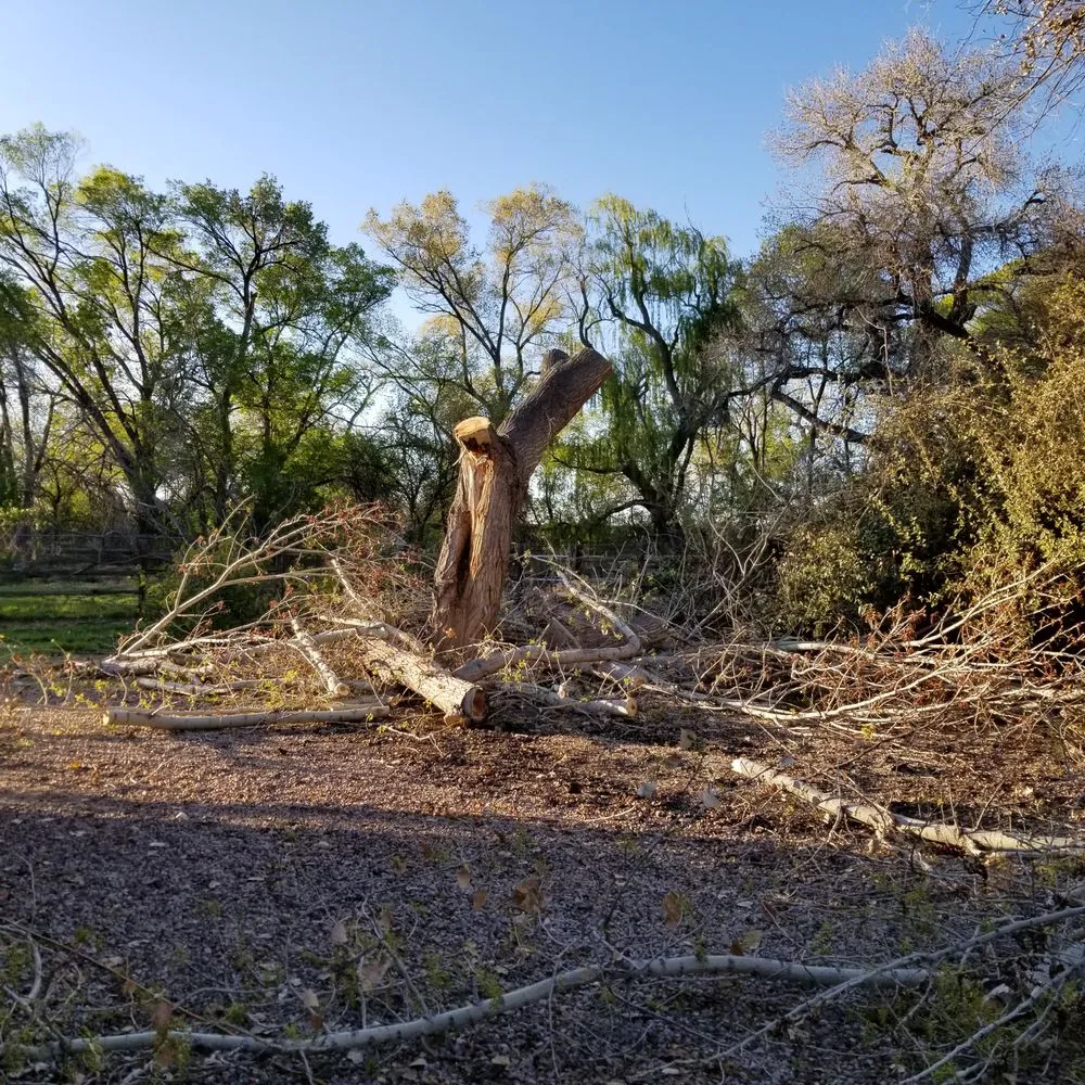 Reliable outdoor landscaping for homes in Espanola, NM by Caros General Works
