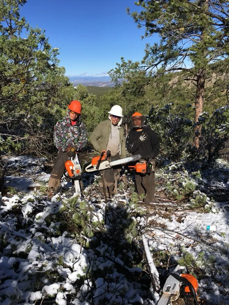 Reliable lawn mowing service in Espanola, NM by Caros General Works