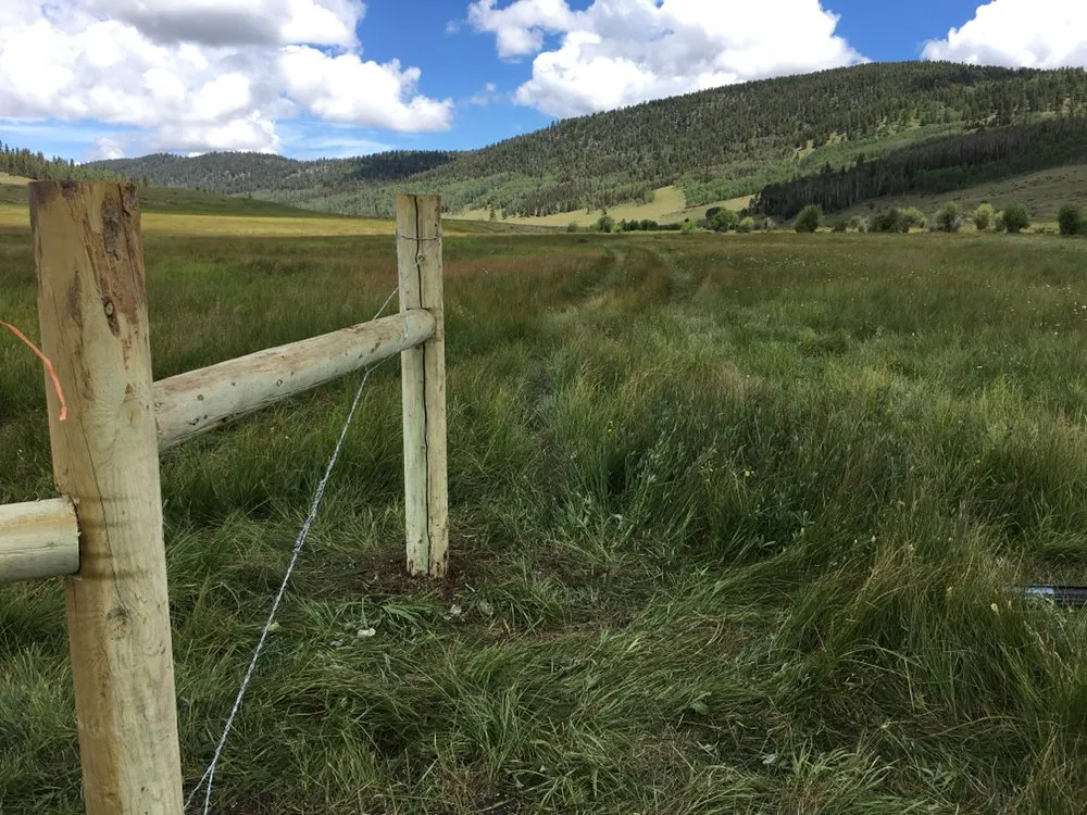 Affordable lawn mowing service with custom design in Espanola, NM by Caros General Works