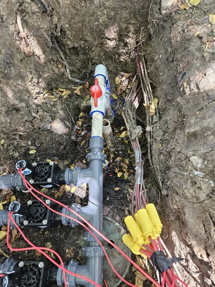 Custom landscaping services in San Marcos, CA by Caro's Landscape