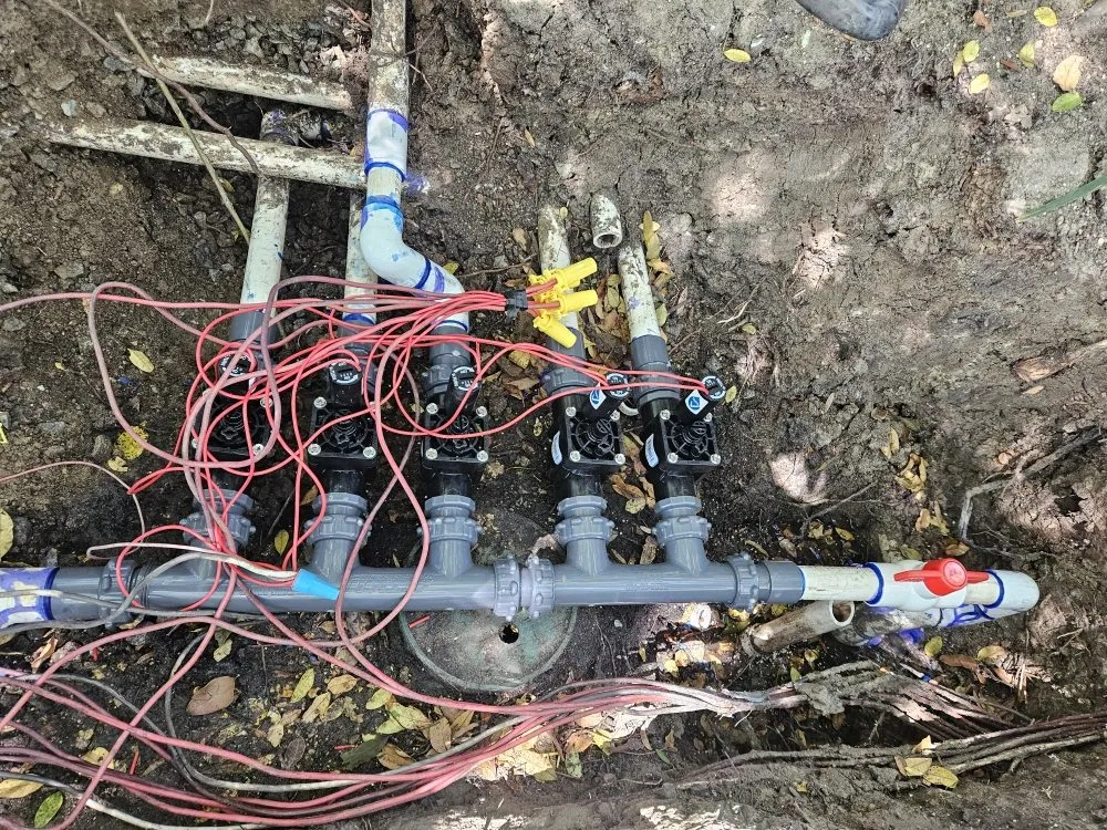 Top-rated outdoor landscaping experts serving San Marcos, CA - Caro's Landscape