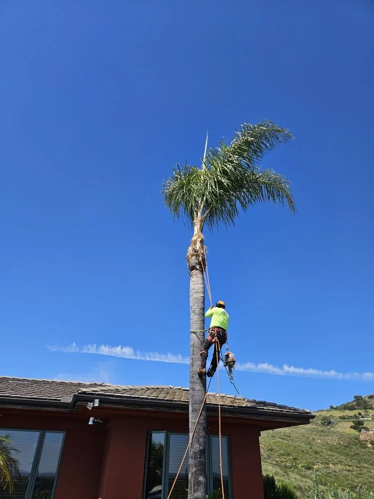 Affordable garden landscaping in San Marcos, CA - Caro's Landscape