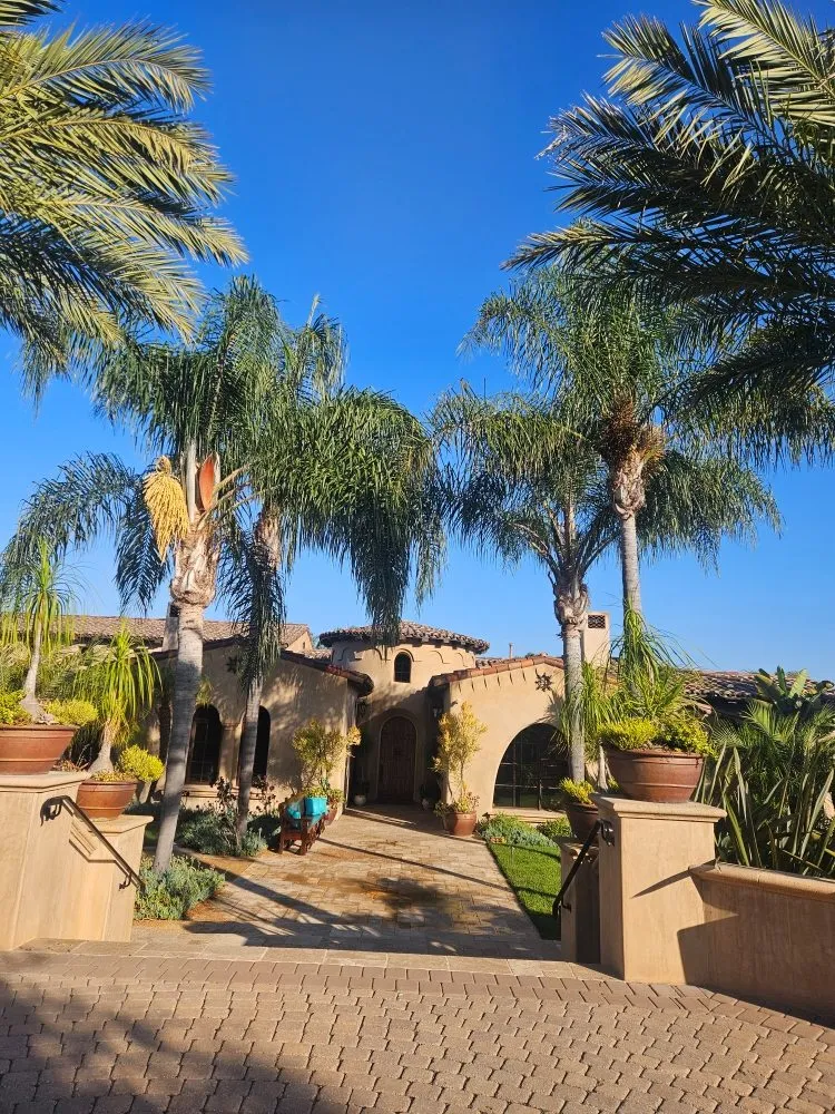 Affordable landscape design experts serving San Marcos, CA - Caro's Landscape