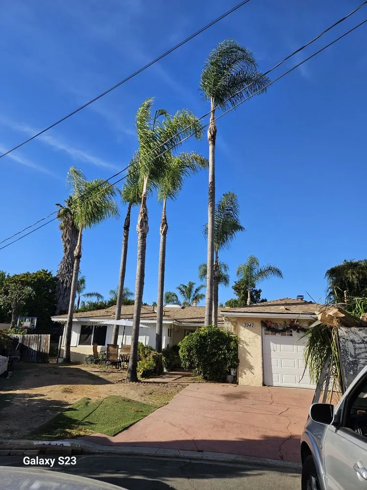 Trusted landscape design in San Marcos, CA by Caro's Landscape