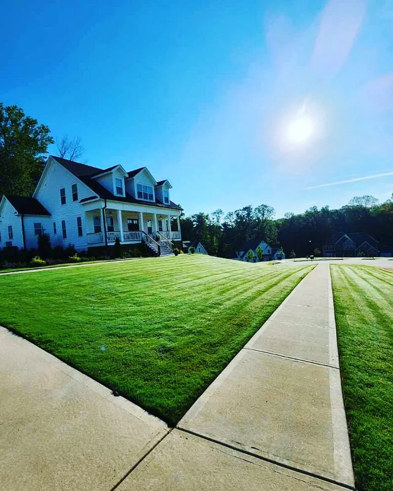 Local residential landscaping in Augusta, GA by Carpe Diem Services