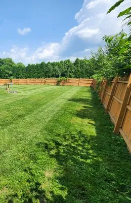 Carpenter And Son's Lawn Service