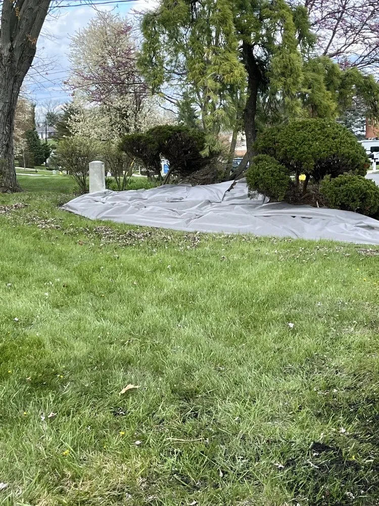 Local yard cleanup service for year-round maintenance in Hamilton, OH by Carpenter Bee’s Lawn Care