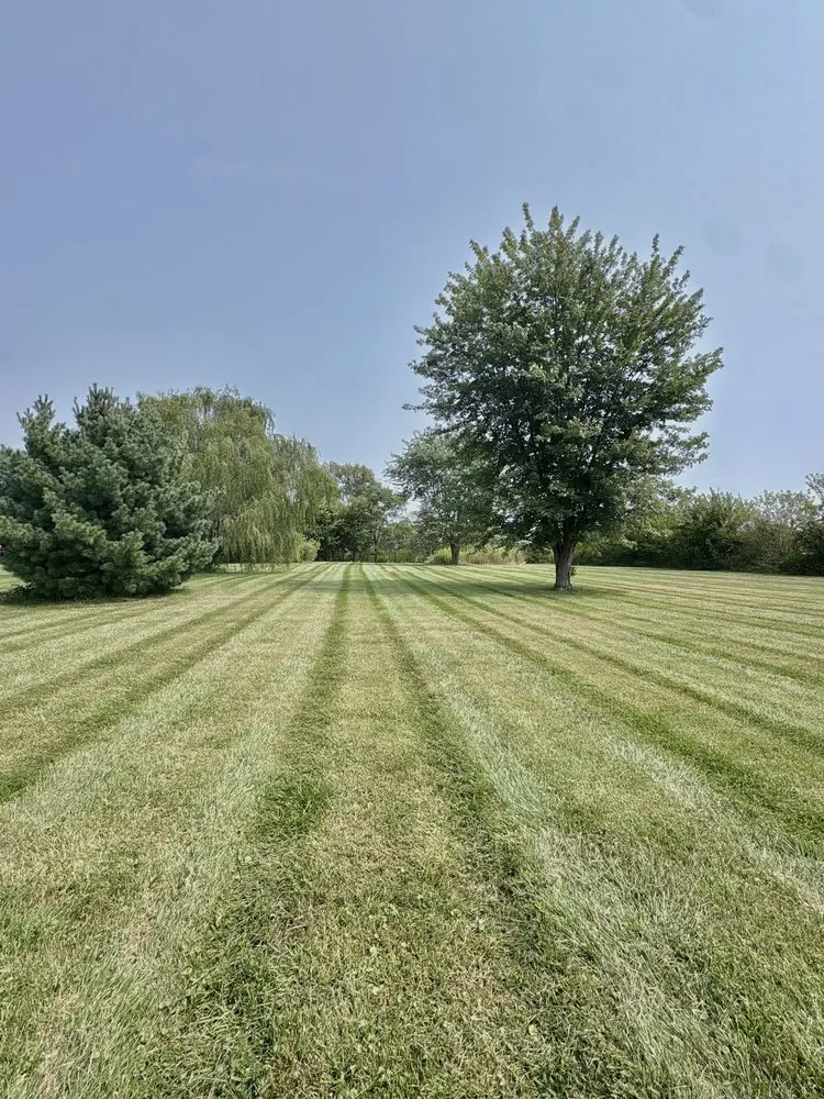 Top-rated outdoor landscaping in Hamilton, OH - Carpenter Bee’s Lawn Care