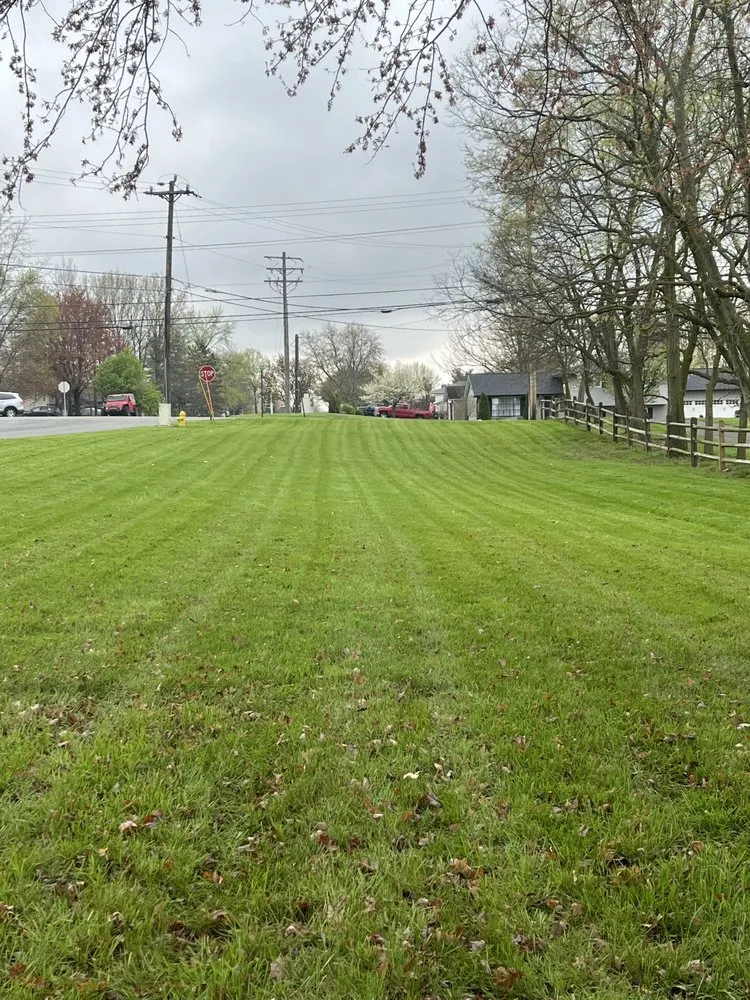 Professional outdoor landscaping experts serving Hamilton, OH - Carpenter Bee’s Lawn Care