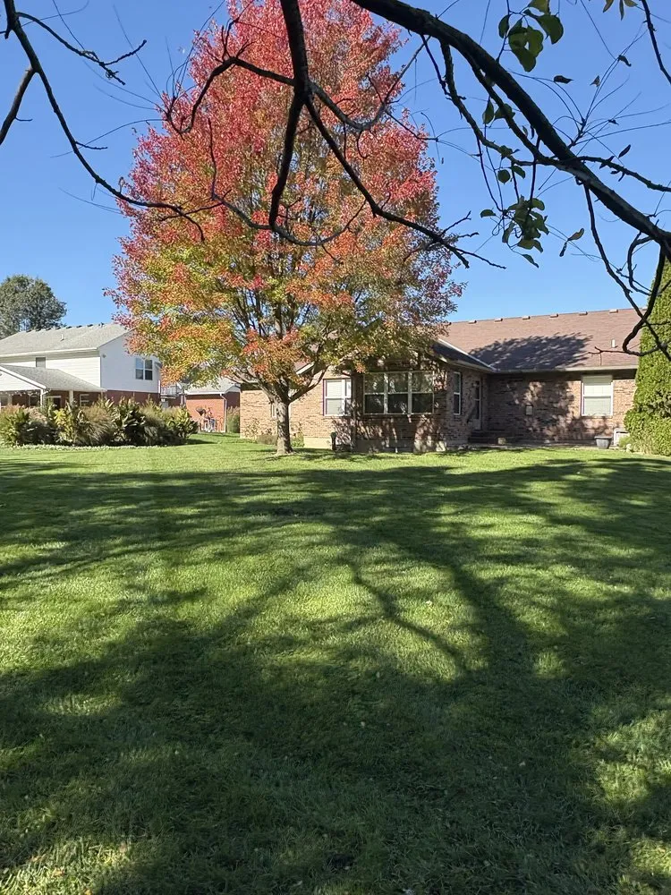 Reliable lawn care service in Hamilton, OH by Carpenter Bee’s Lawn Care