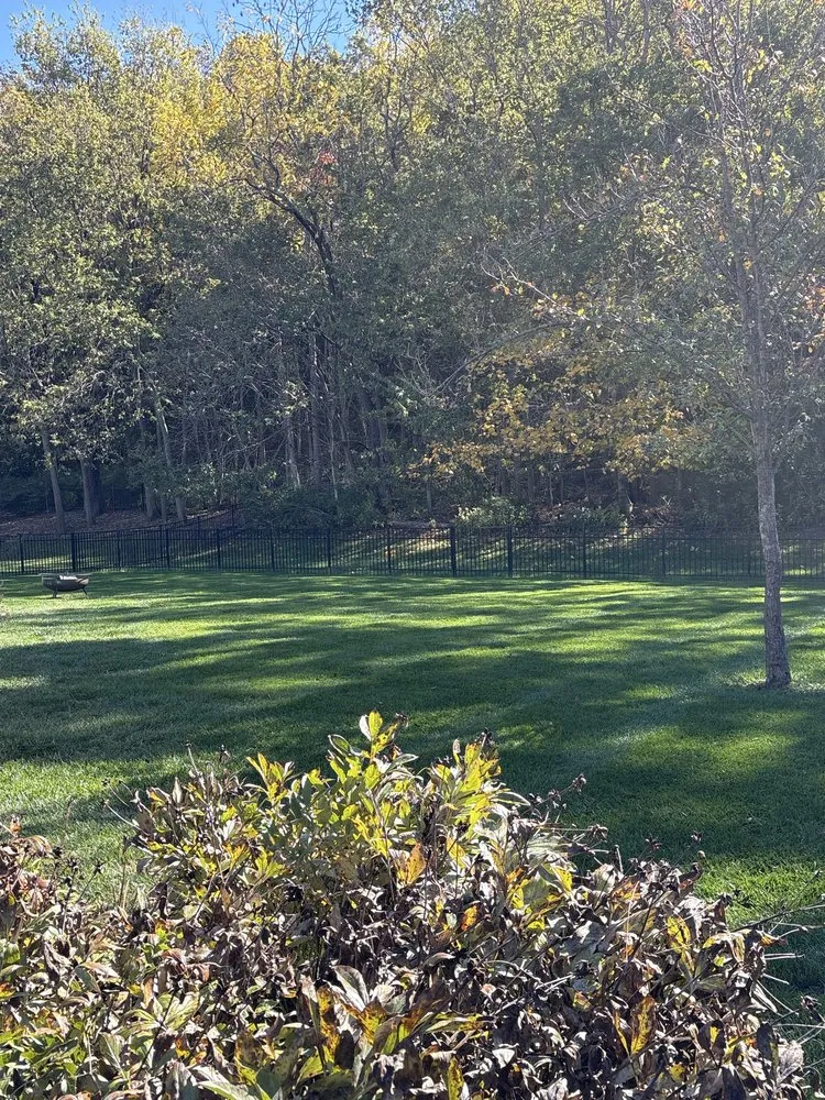 Expert landscaping services for year-round maintenance in Hamilton, OH by Carpenter Bee’s Lawn Care