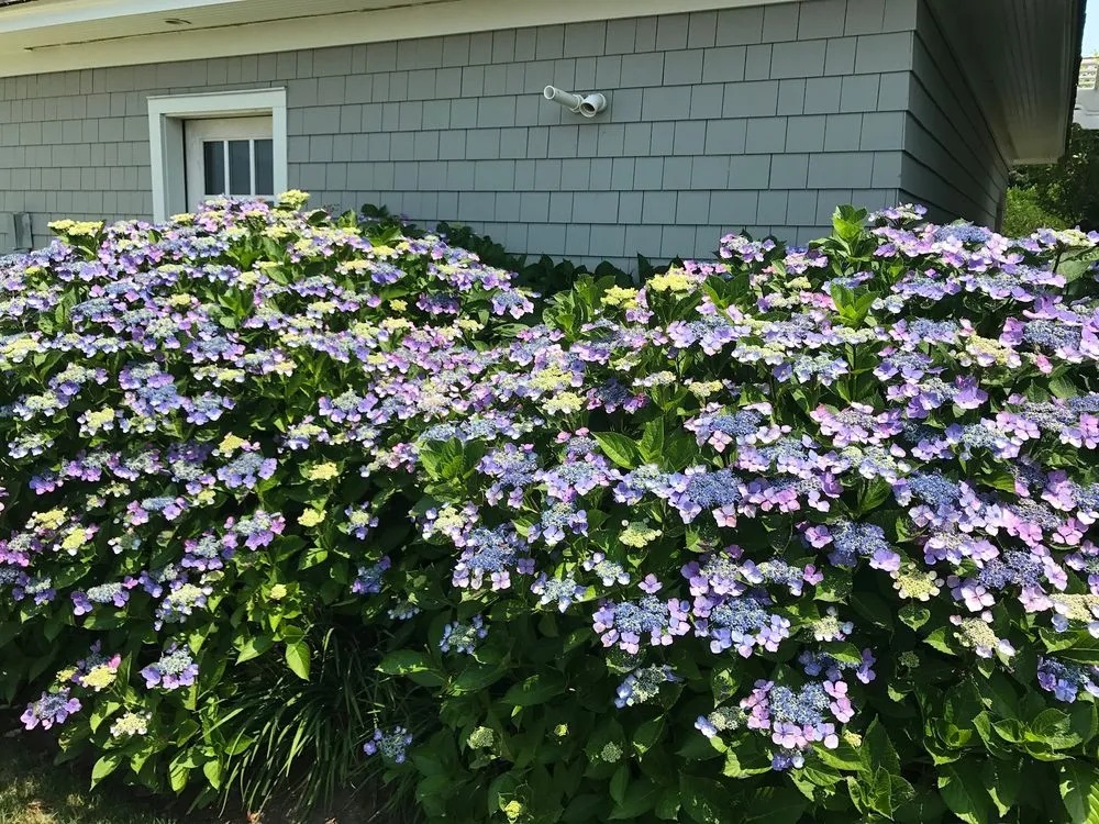 Affordable outdoor landscaping experts serving Essex, CT - Carpenter Landscape & Lawn Care