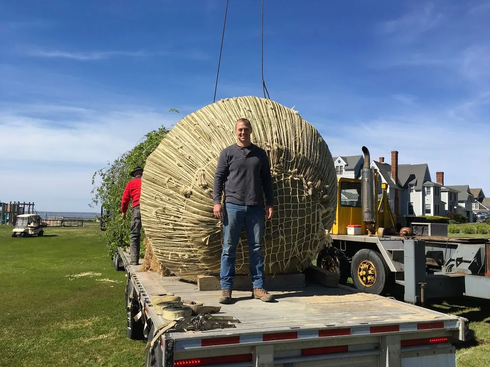 Trusted landscape design in Essex, CT by Carpenter Landscape & Lawn Care